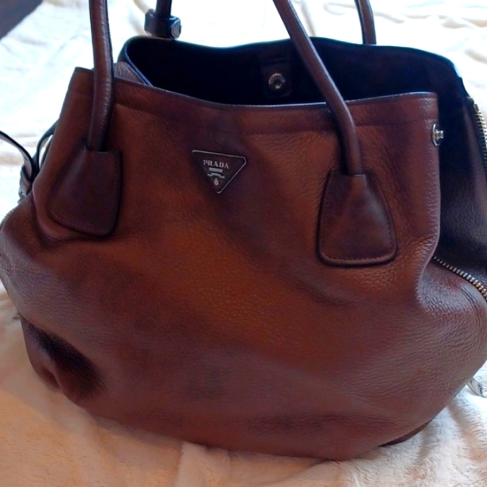 Prada deep skin bag